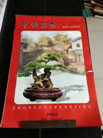 2002年挂历中国盆景。12张全。