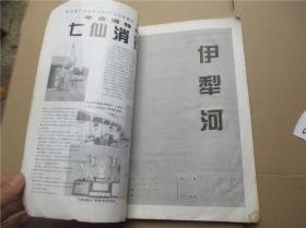 伊犁河：中国八大总统秘闻（2000年 总第113期）