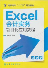 Excel会计实务项目化应用教程