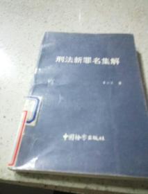 刑法新罪名集解