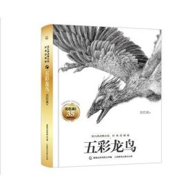 沈石溪动物小说经典爱藏版五彩龙鸟