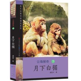云海探奇3-月下白猸