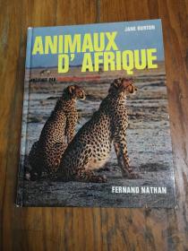 ANIMAUX D'AFRIQUE ECOLOGIE DE I;EST AFRICAIN PAR JANE BURTON【法文原版】