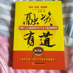 融资有道：中国中小企业融资操作技巧大全与精品案例解析