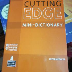 NEW cutting.edge mini dictionary小字典