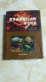 世界两栖爬行动物原色图鉴 （书衣85品 内里9品） 一楼