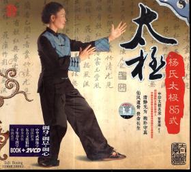太极：杨氏太极85式