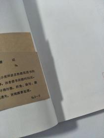 美丽与悲哀 蒲公英