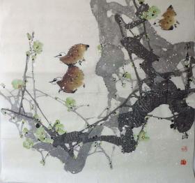 保真*著名画家四尺斗方*花鸟画*2205