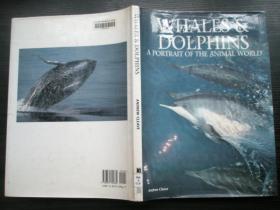 WHALES&DOLPHINS
