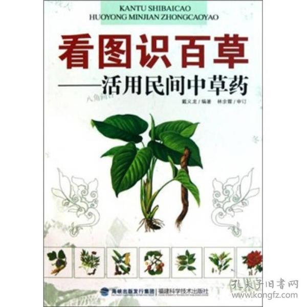 看图识百草：活用民间中草药