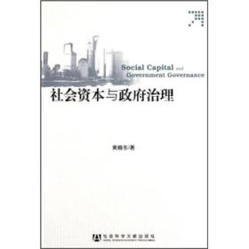 社会资本与政府治理