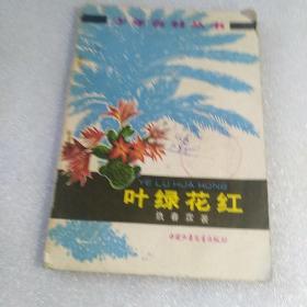 叶绿花红