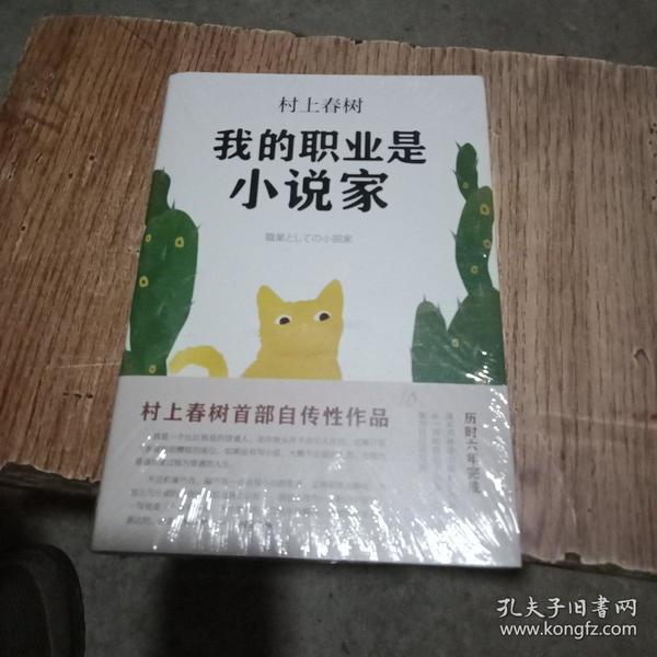 我的职业是小说家