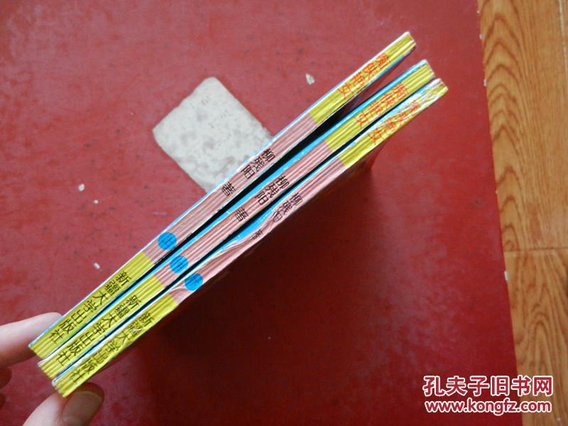 痴侠艳女（上中下）柳残阳最新武侠精品