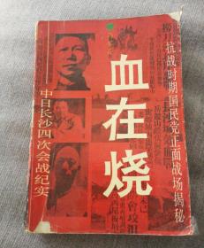 血在烧——中日长沙四次会战纪实