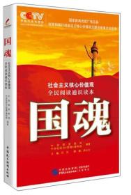 【正版全新11库】Q1：社会主义核心价值观全民阅读通识读本-国魂422