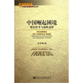 中国发展道路研究丛书·中国崛起困境：理论思考与战略选择