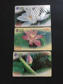 卡片263 荷花 一套三枚 202卡 中国网通 JNTX-37 2002-15