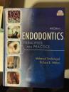 Endodontics 经典牙髓治疗