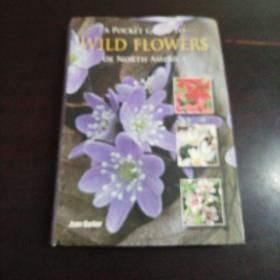 A POCKET GUIDE TO WILD FLOWERS：OF NORTH AMERICA（软精装，铜版纸彩色精印）