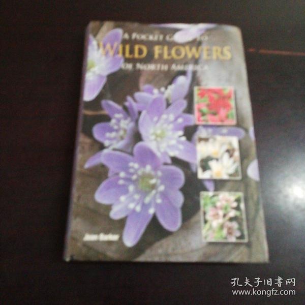 A POCKET GUIDE TO WILD FLOWERS：OF NORTH AMERICA（软精装，铜版纸彩色精印）