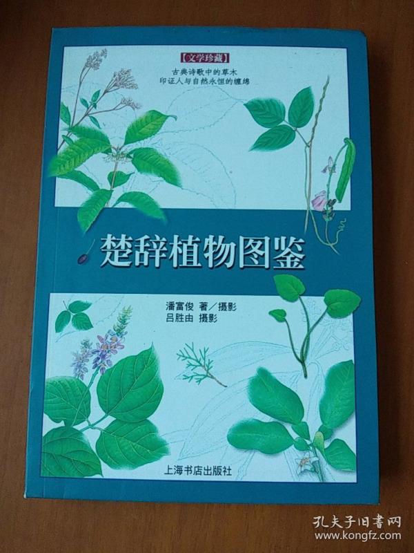 楚辞植物图鉴