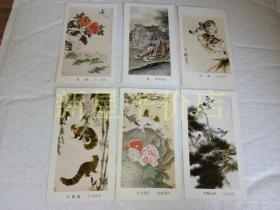 老年历卡-------《幼师，红嘴山雀，牡丹鸽子，小熊猫，虎，双猫》！（6张合售，著名画家“喻继高，刘继卣，胡爽庵“等画作！1983年人民美术出版社）