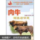 肉牛养殖技术书籍 肉牛饲养与保健