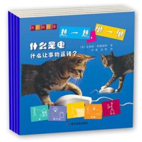 想一想，做一做（套装全4册） /科学普及出版