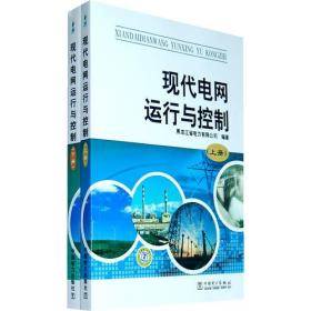 现代电网运行与控制
