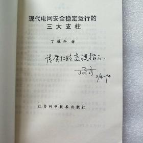 现代电网安全稳定运行的三大支柱 【作者丁道齐签名】内页干净