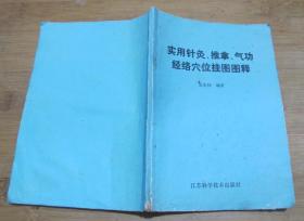 实用针灸、推拿、气功经络穴位挂图图释