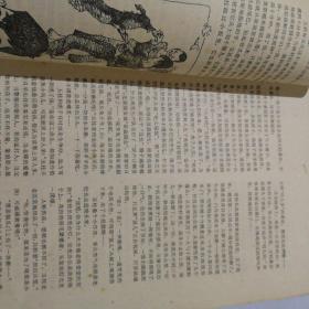 小说选刊 1981（6）