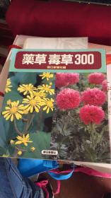 药草 毒草300日文版（067）