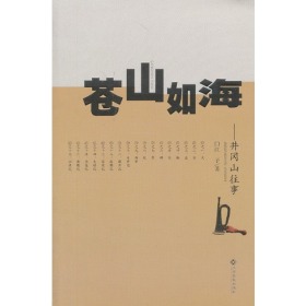 苍山如海——井冈山往事