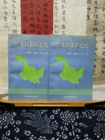 黑龙江市镇总览  98年一版一印  品纸如图 书票一枚 便宜7元