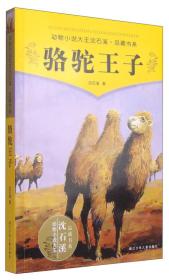 动物小说大王沈石溪·品藏书系：骆驼王子