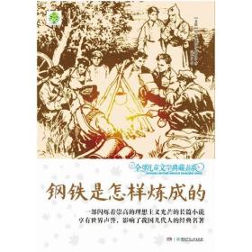 钢铁是怎样炼成的 (苏)尼·奥斯特洛夫斯基 著 吴兴勇 译