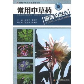 黔版中草药彩色图谱系列：常用中草药图谱及配方5