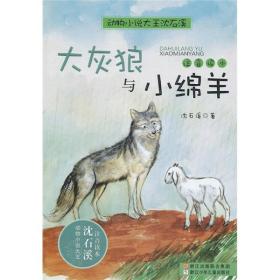 大灰狼与小绵羊(注音读本)/动物小说大王沈石溪