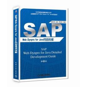 SAP Web Dynpro For JAVA开发技术详解