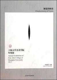 视觉的维度：2013上海大学美术学院年度展