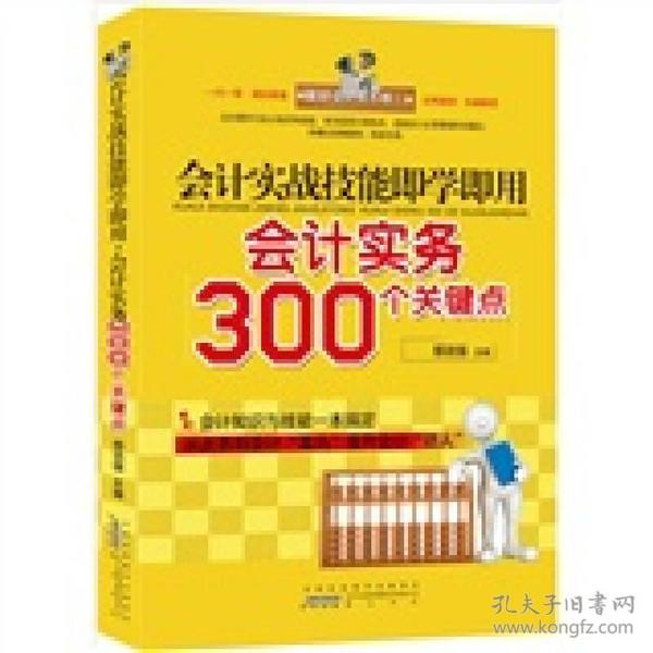 会计实战技能即学即用：会计实务300个关键点