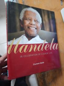 Mandela: In Celebration of a Great Life