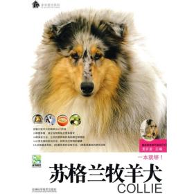 苏格兰牧羊犬