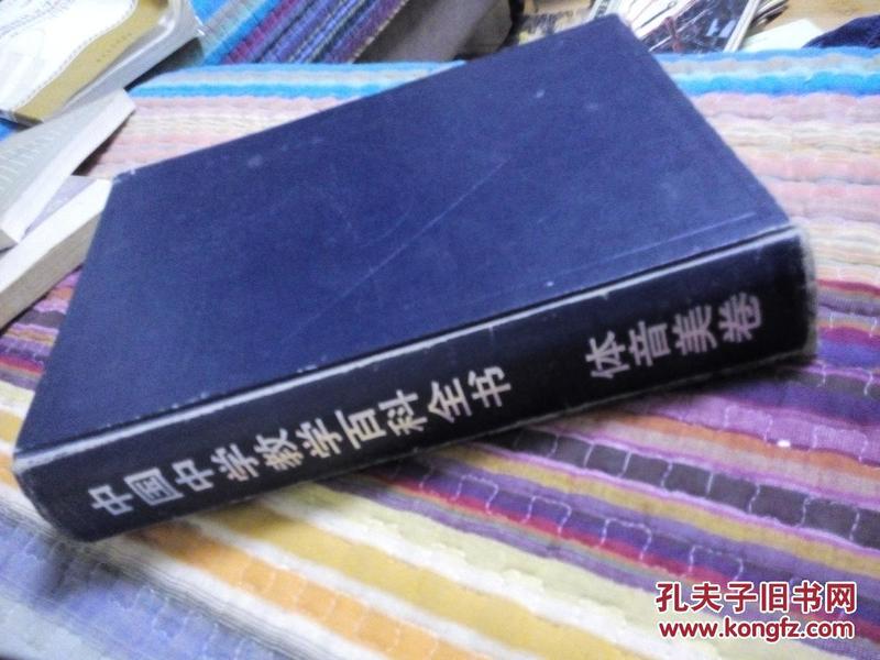 中国中学教学百科全书（体音美卷）