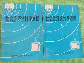 社会经济统计学原理（上+下）