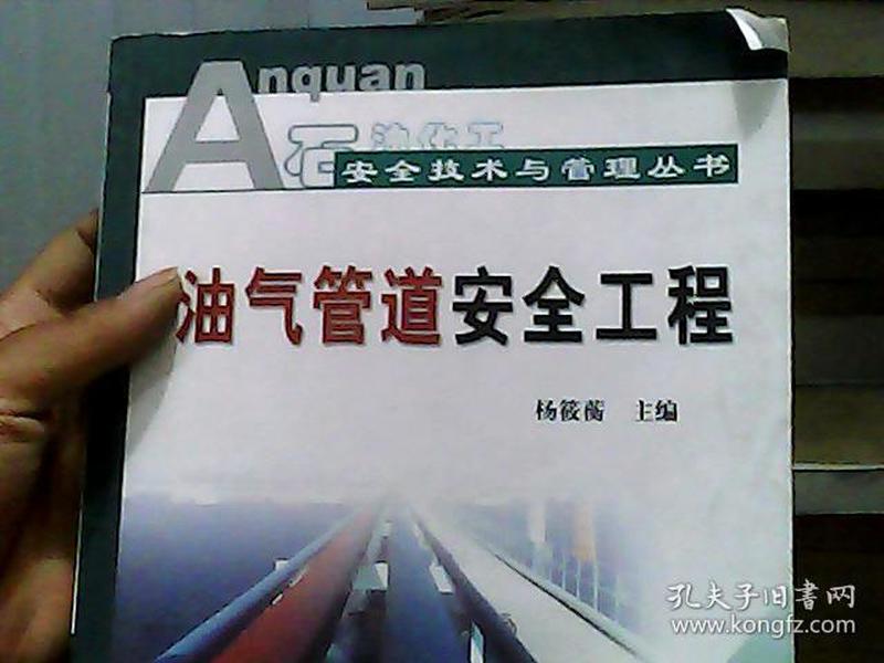 石油化工安全技术与管理丛书：油气管道安全工程