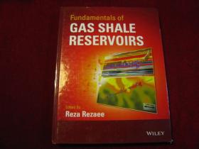 Fundamentals of Gas Shale Reservoirs（进口原版，国内现货）